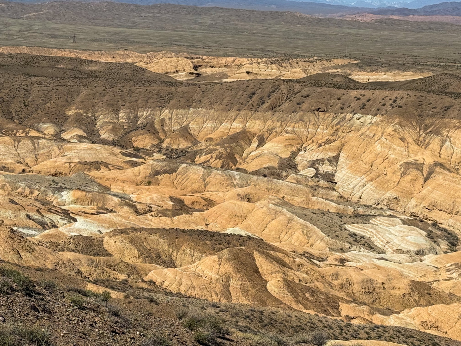 Charyn canyon in Almaty region in Kazakhstan