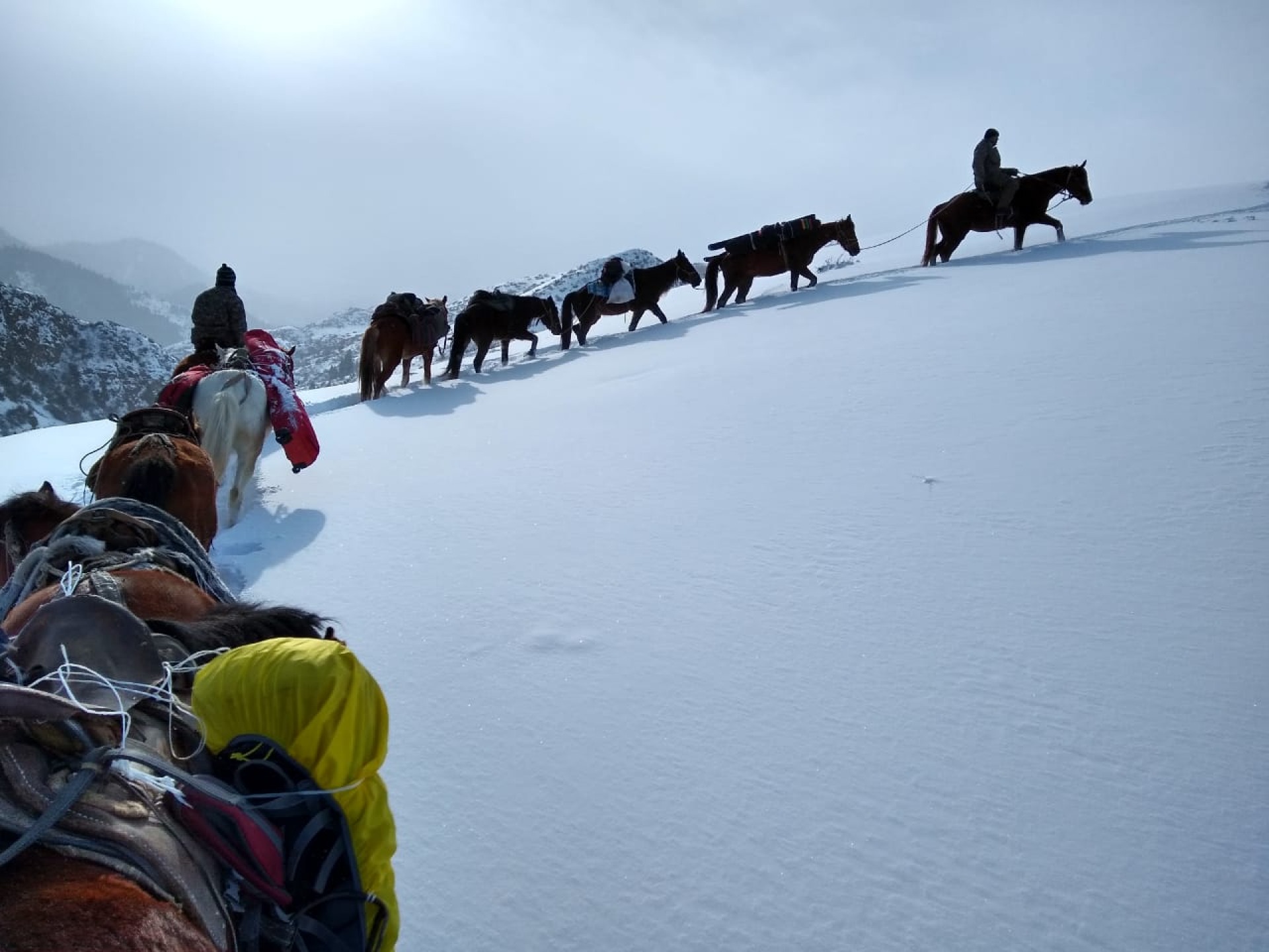 horses on the way to Ketpen valley