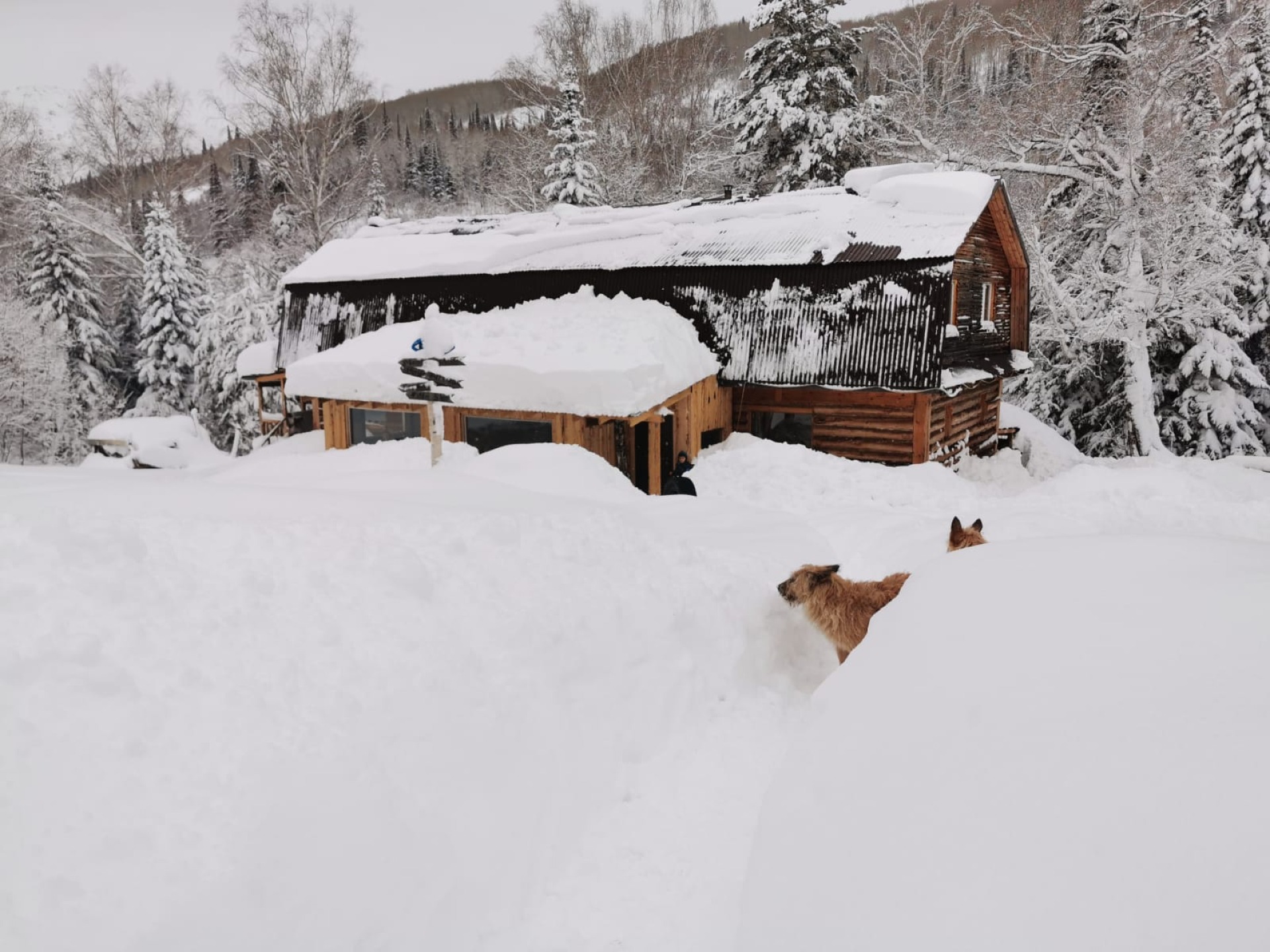 mountain lodge in the Altay, Ridder Serginsky gorge