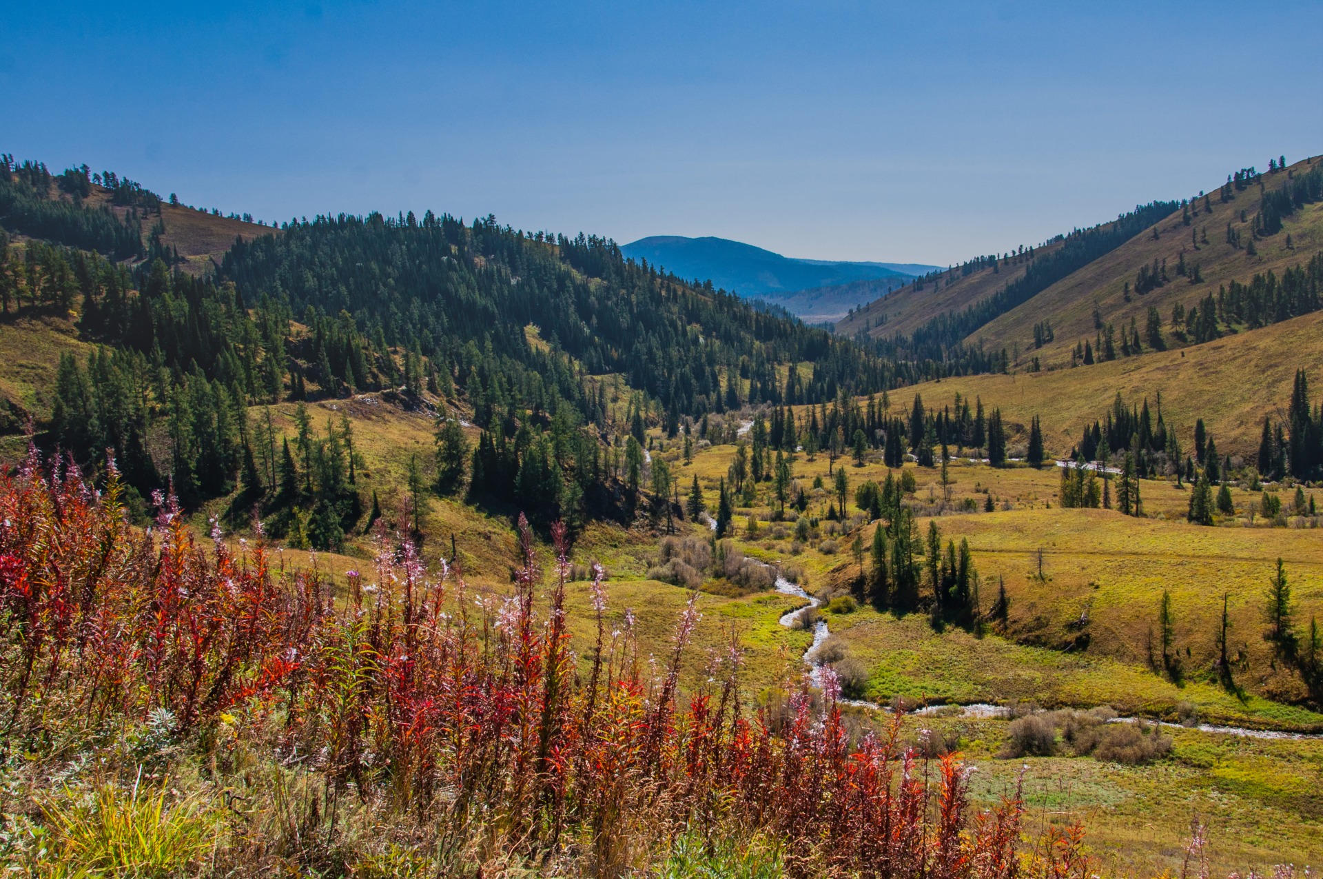 Trekking in Katon Karagay national park in the Altai of Kazakhstan