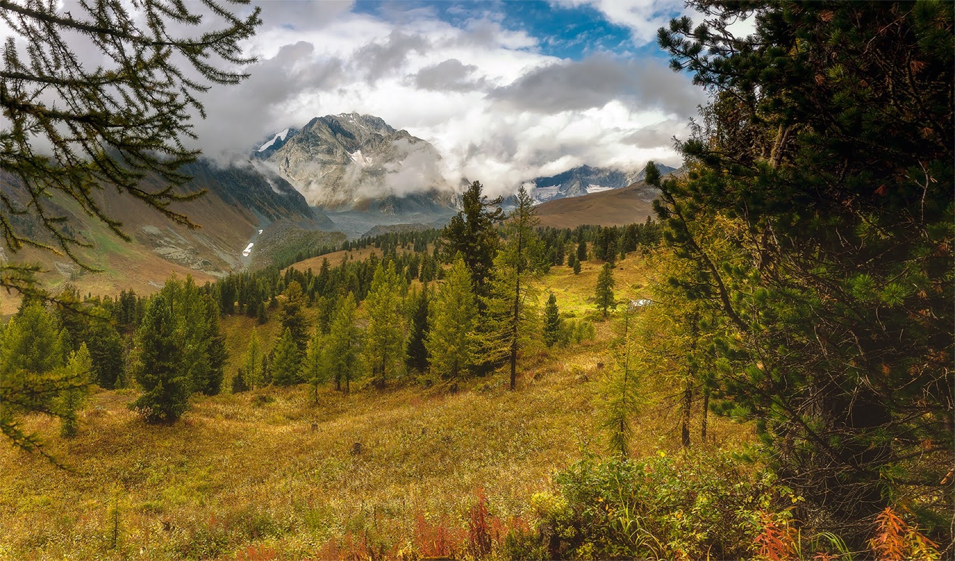 Hiking in tte forest in the Altay mountains Kazakhstan