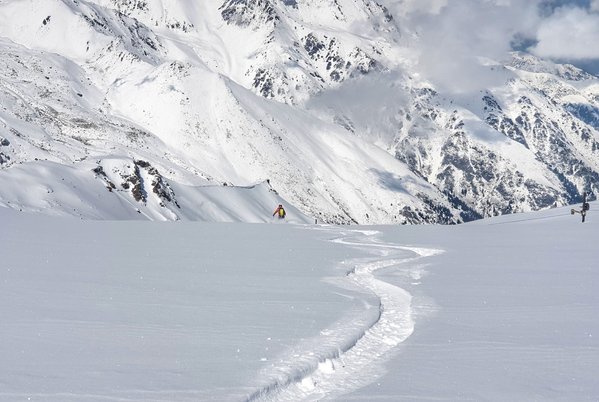 ski powder in Cosmostation freeride