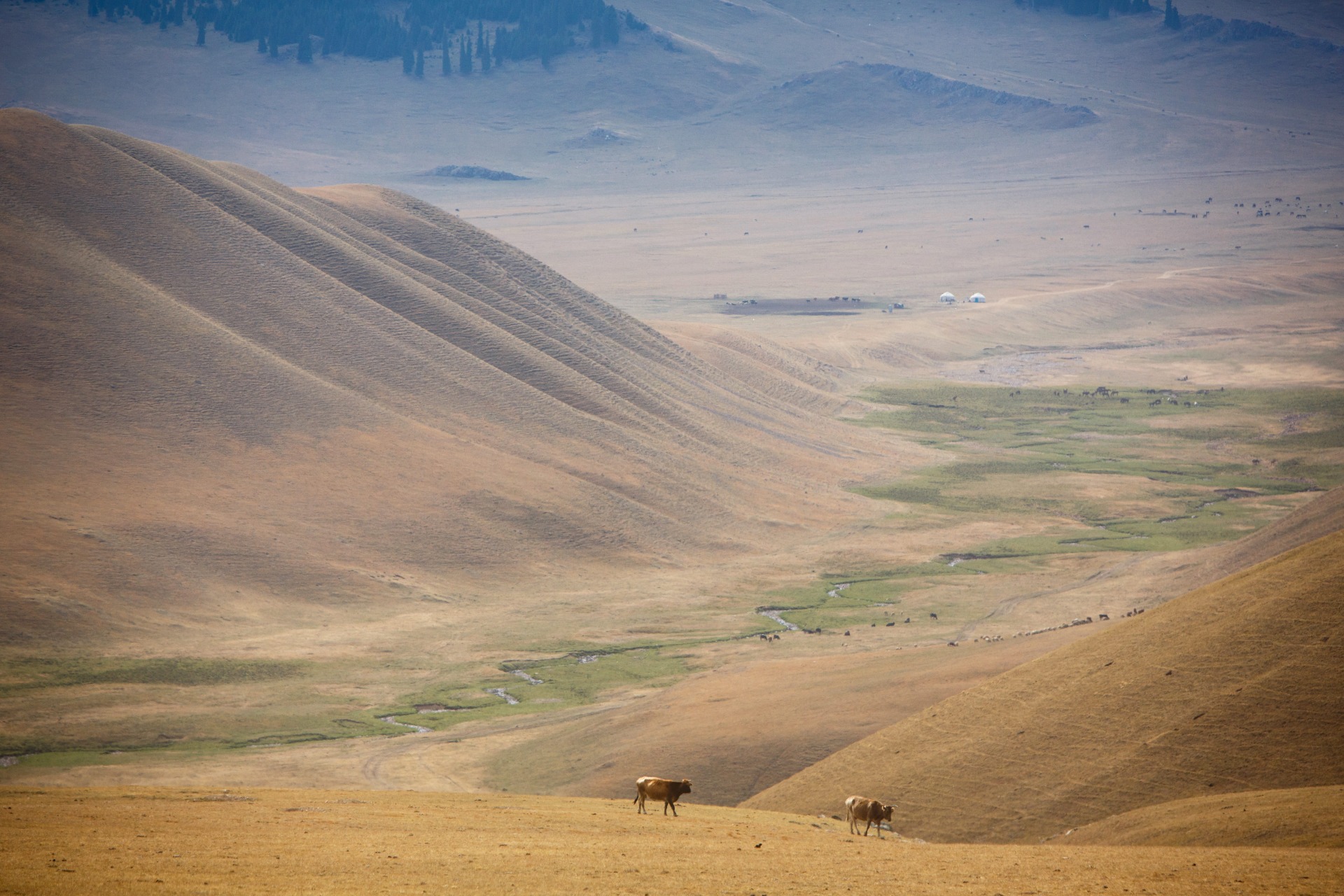 Jeep tour on Assy in Kazakhstan
