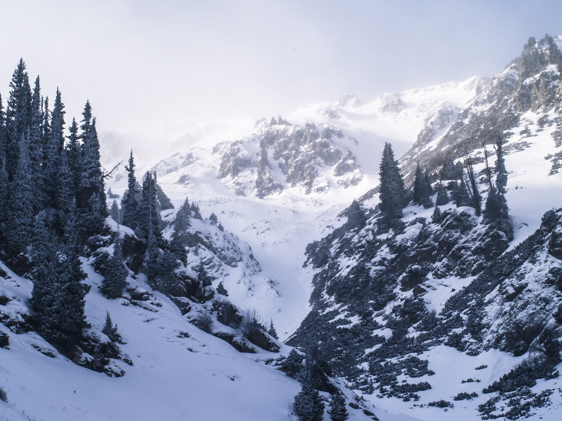 Ketpen gorge with peaks and forest