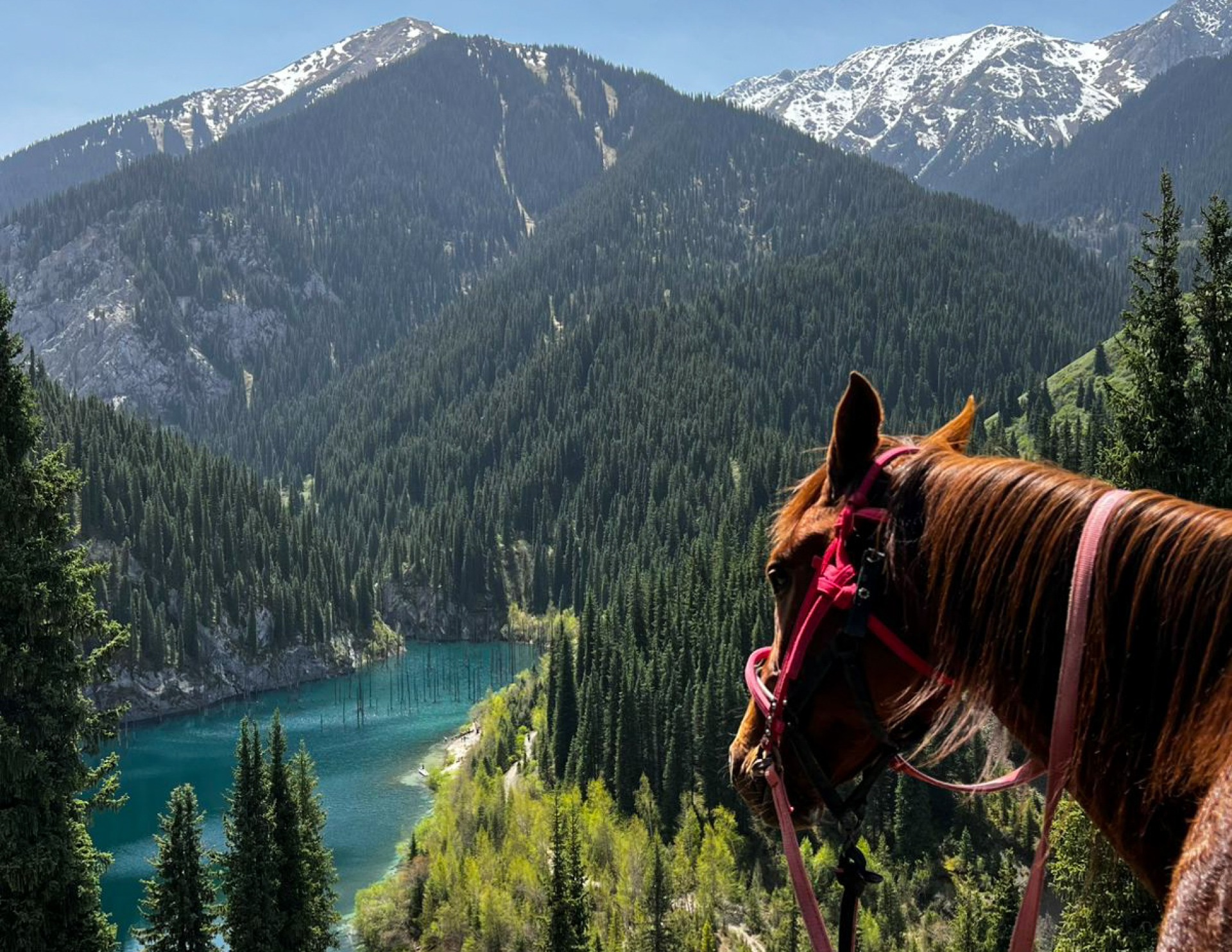 Horseback riding and hiking on Kolsay and Kaindy lake