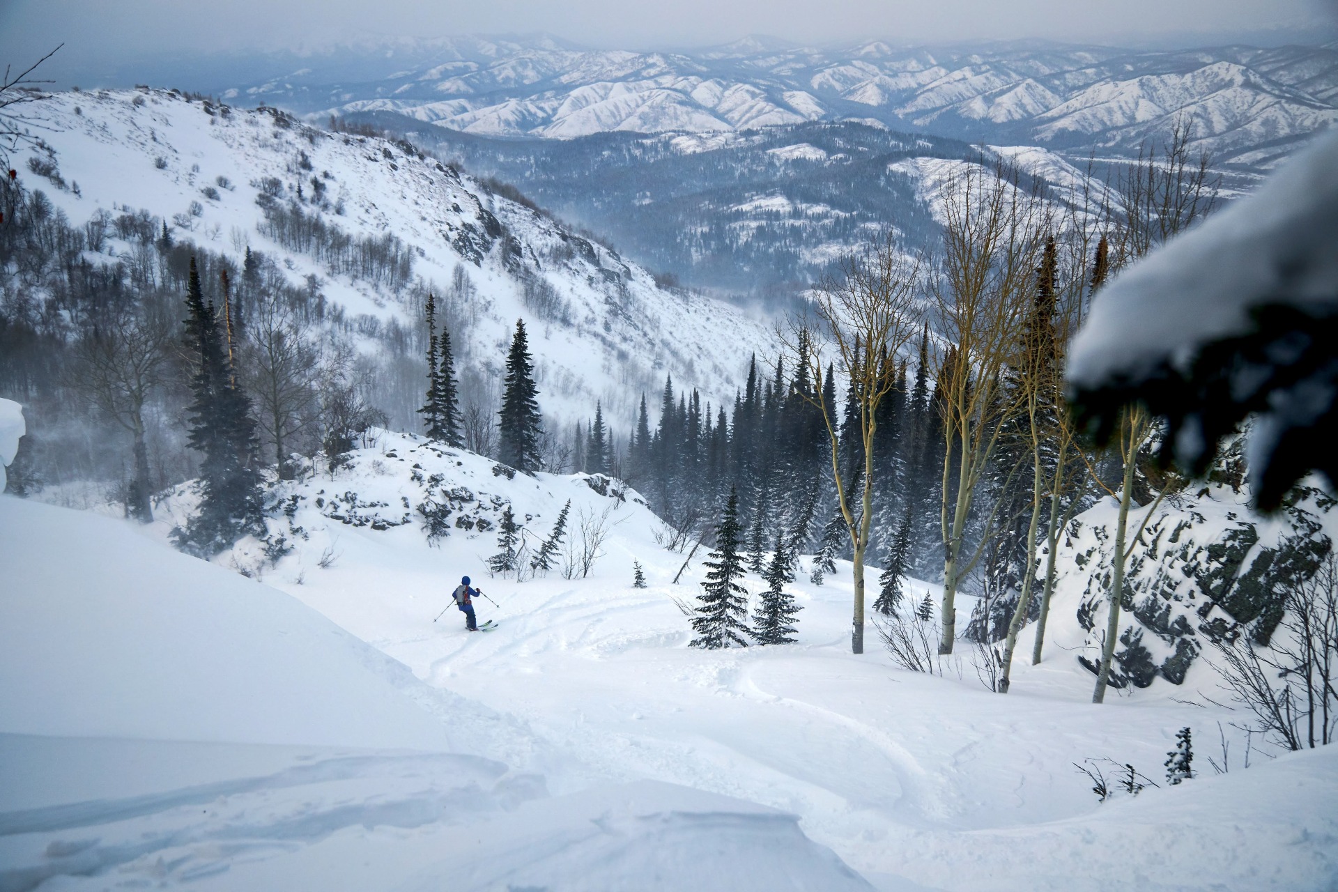 Deep powder backcountry skiing in Altai mountains