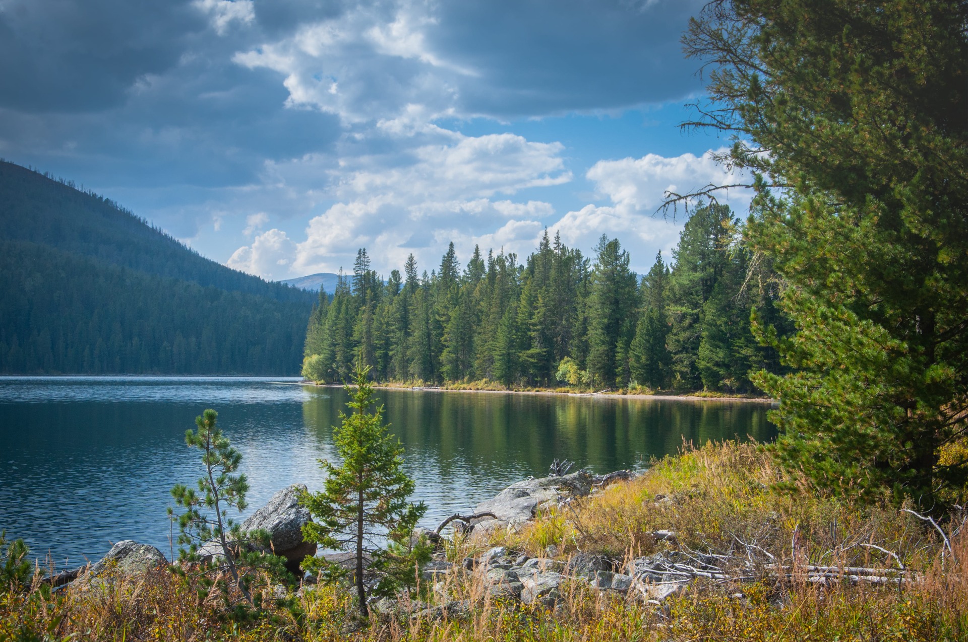 SUV and jeep tour to the mountain lake Belukha in the Altai Kazakhstan
