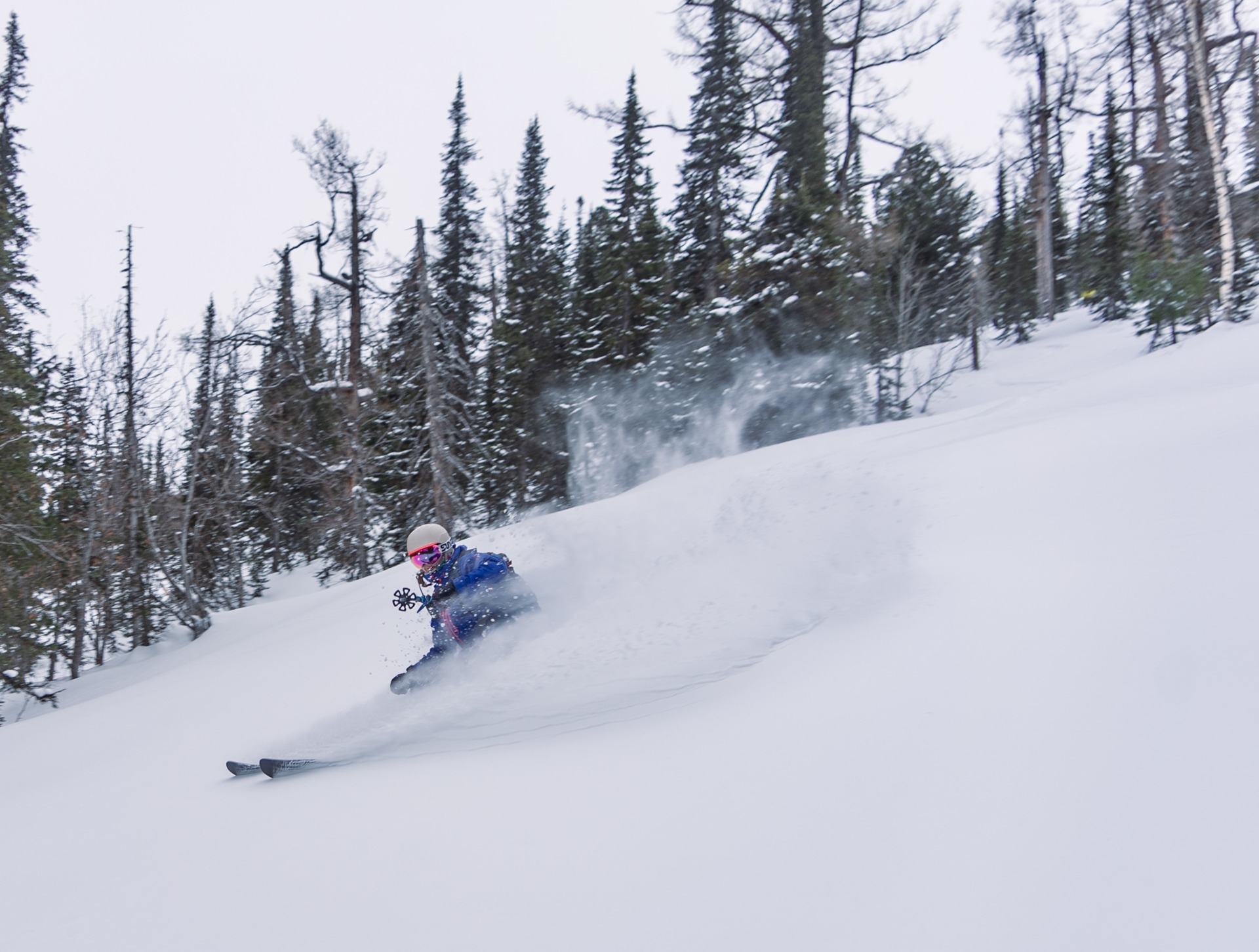 skiing powder in the Altai, Ridder Kazakhstan