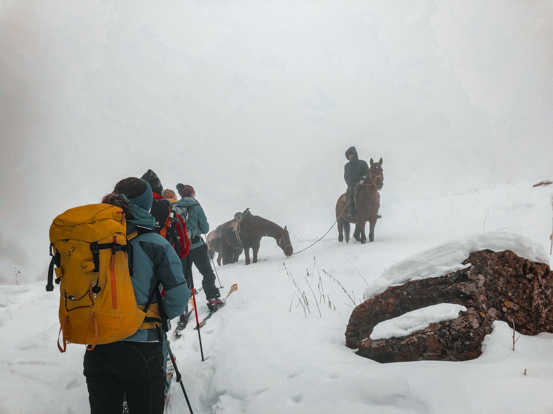 on the way to the mountain hut in Ketpen with horses