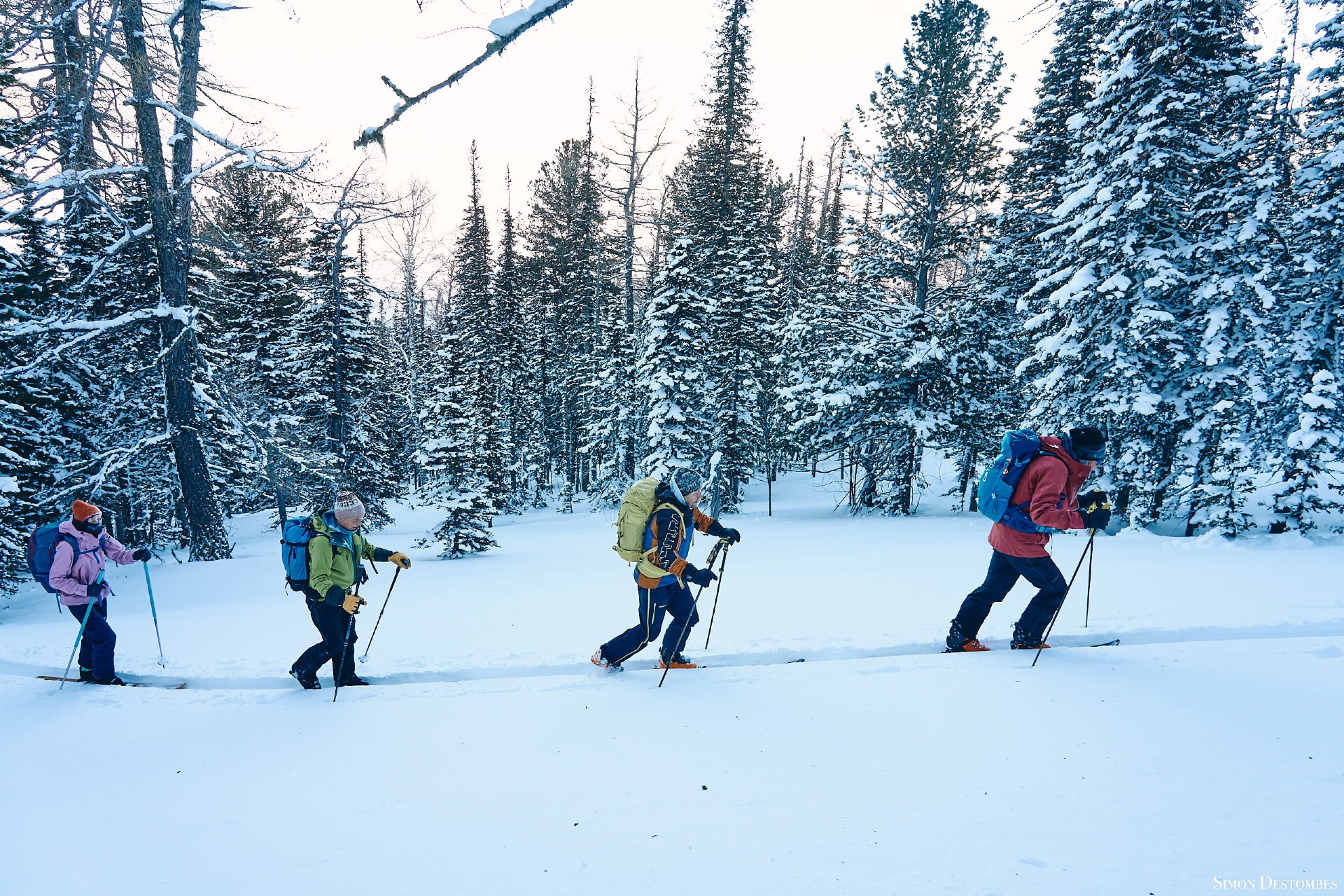 skitour pin the forest in Ridder, Kazakhstan