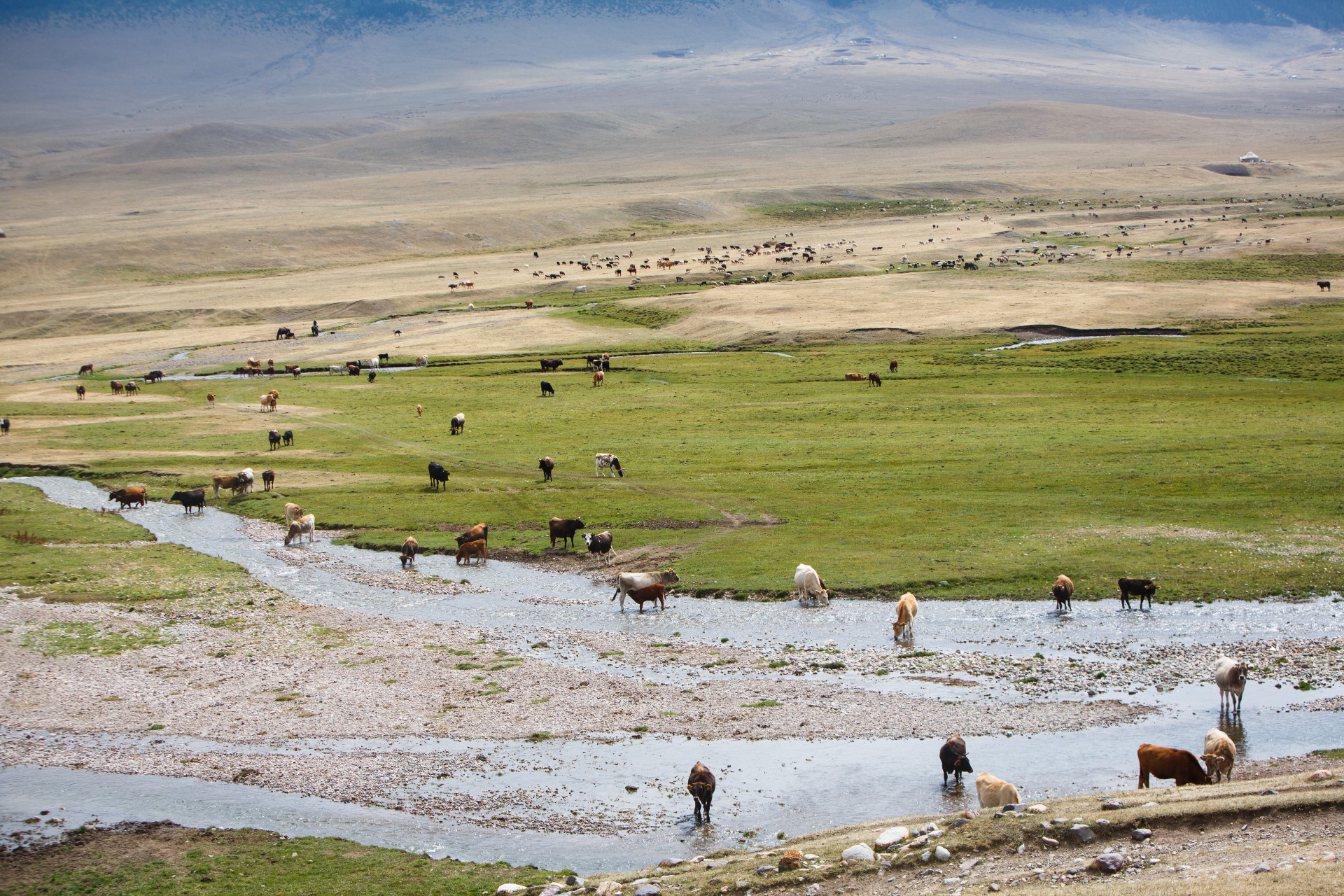 Exploring nature of Assy valley, Almaty region in Kazakhstan