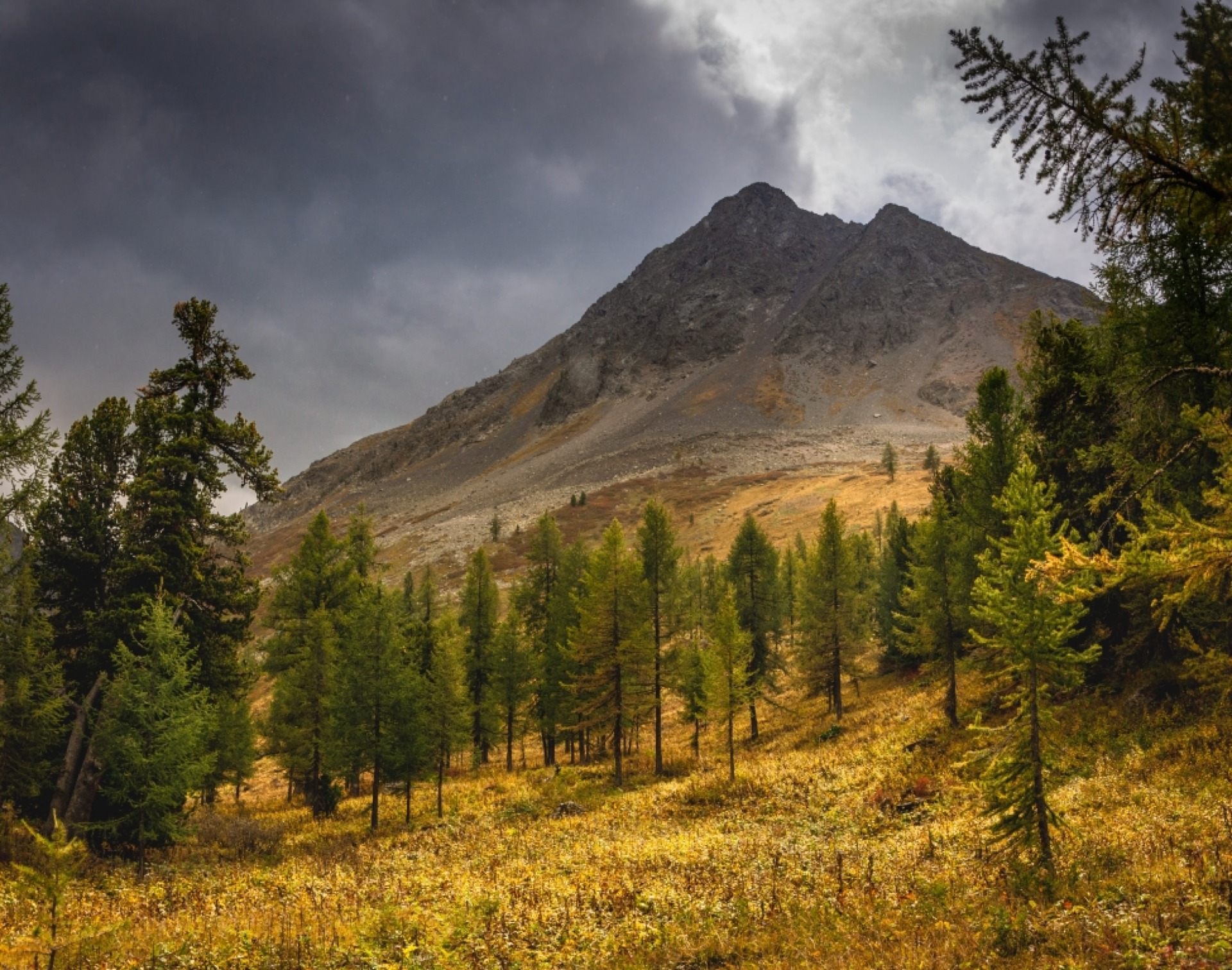 Horse-riding in the Altay mountains