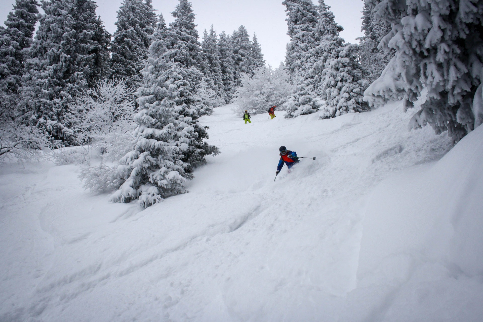 powder skiing at Ak-bulak ski resort Almaty