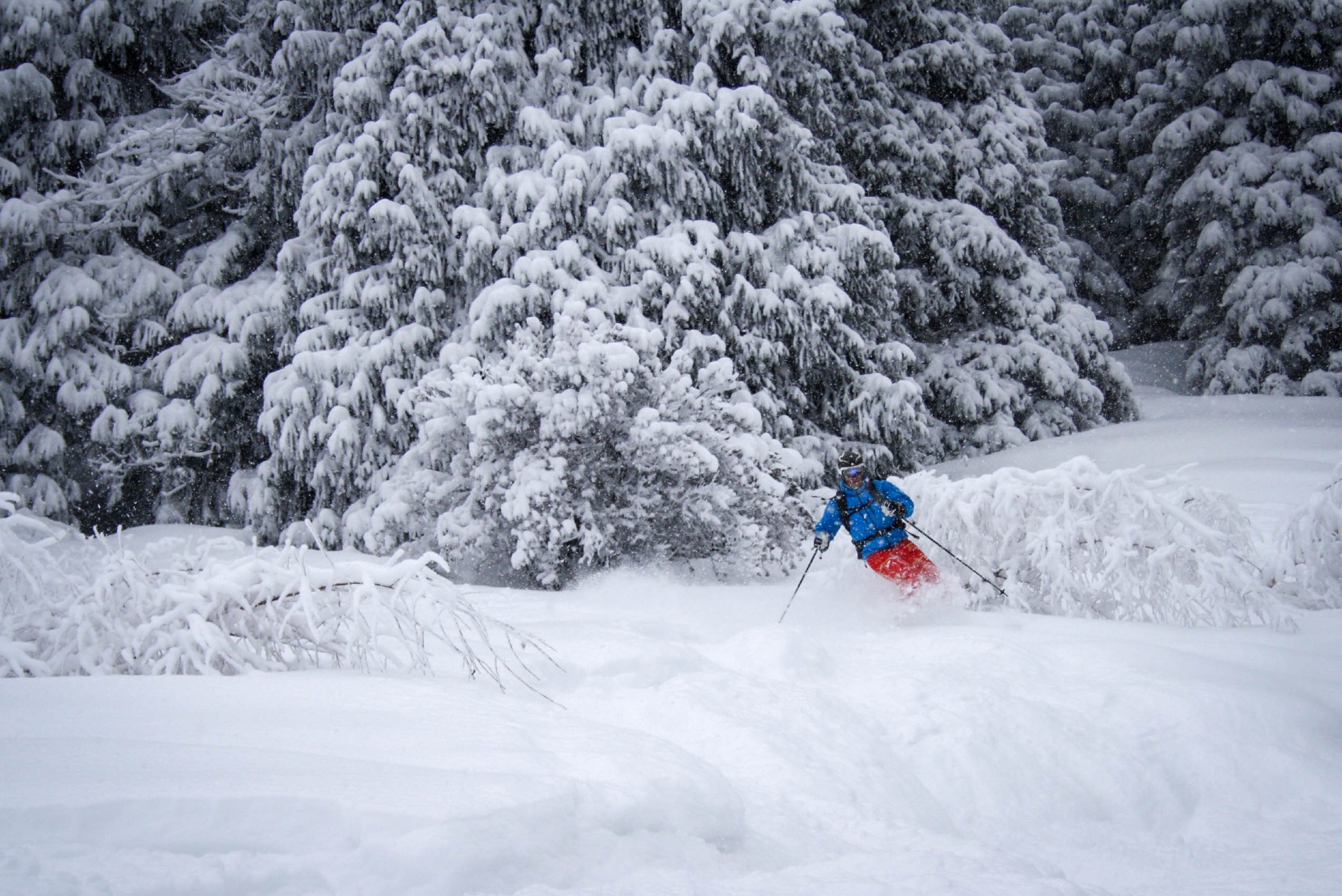 shredding powder skiing in Ak-bulak ski resort Almaty kazakstan