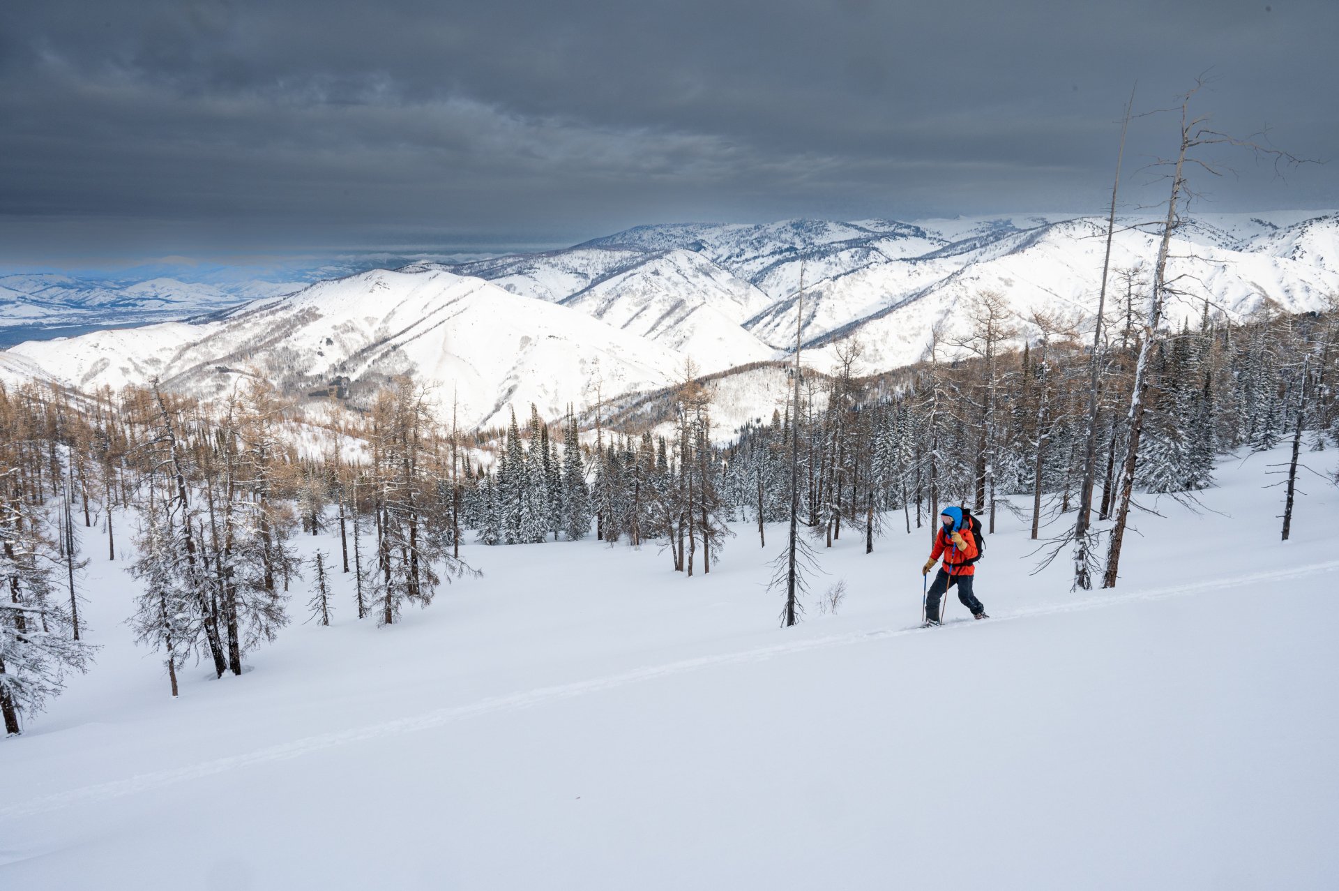 Ski Ridder - Backcountry trip to Altai