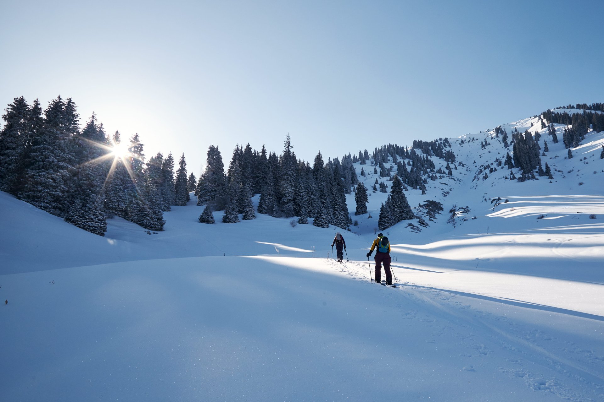 Ski Alatau - freeride skiing in the Ile-Alatau mountains