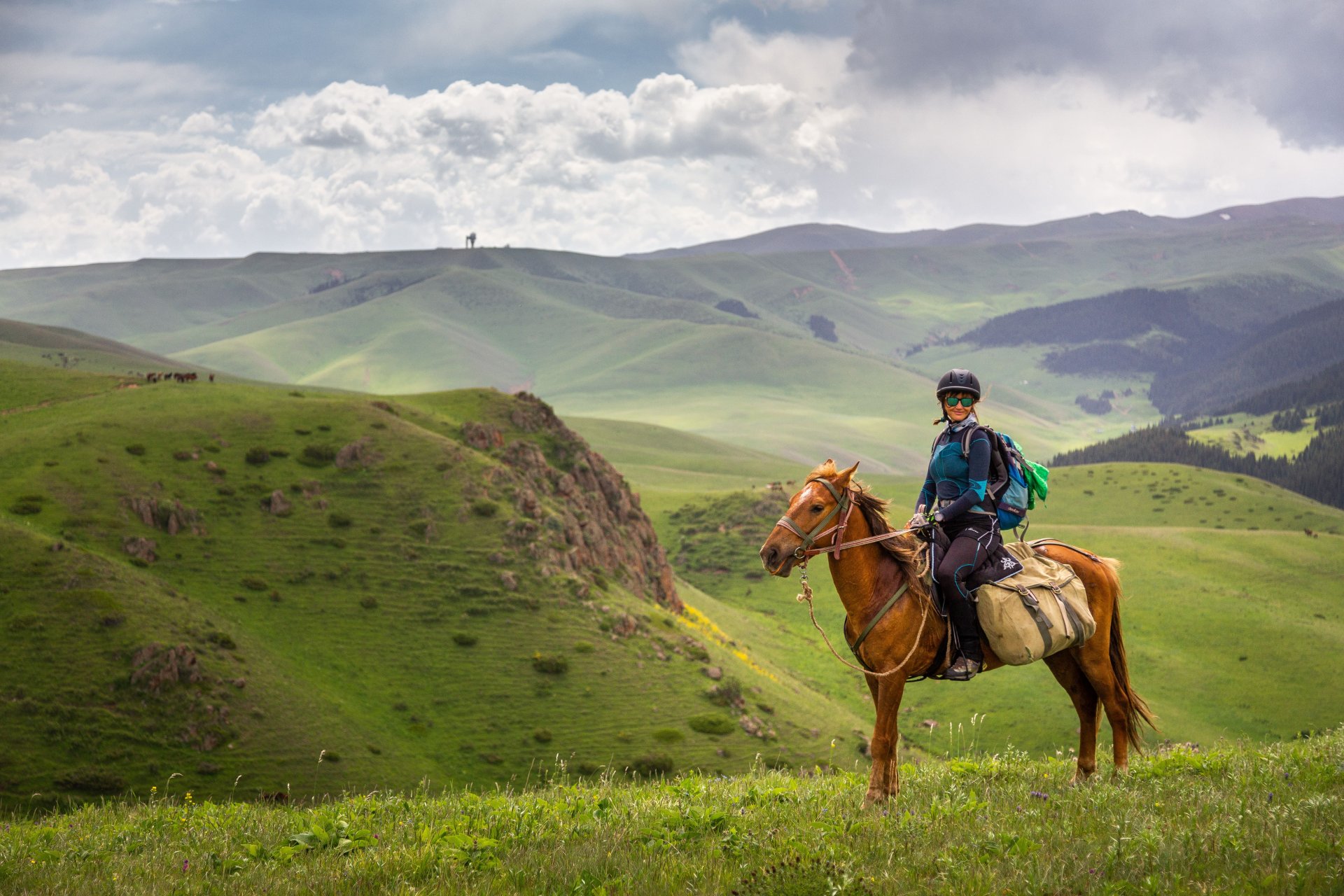 Horse riding tours